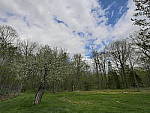 Click to see Y_1030135-HDR-1EV.JPG