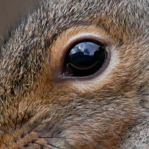 Panasonic GX850 Review: Field Test -- Gallery Image