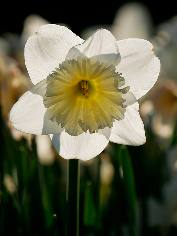 Panasonic GX850 Review: Field Test -- Gallery Image