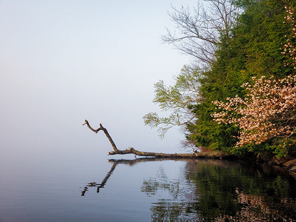 Panasonic GX850 Review: Field Test -- Gallery Image