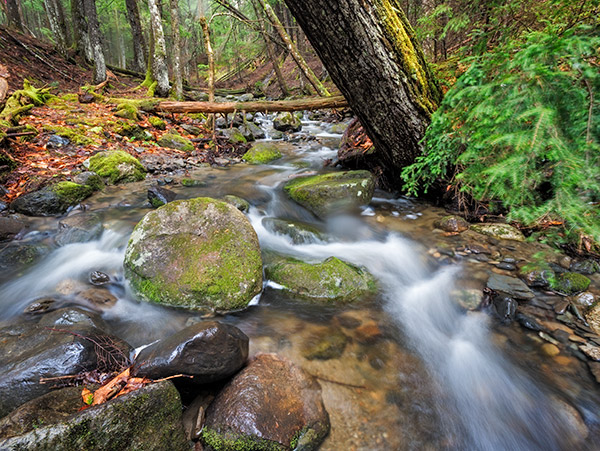 Panasonic GX850 Review: Field Test -- Gallery Image