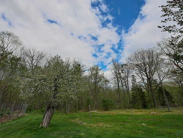 Panasonic GX850 Review: Field Test -- Gallery Image