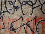 Click to see Y-P1011127.JPG