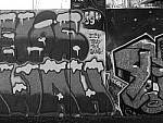 Click to see Y-P1011276.JPG