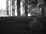 Click to see Y-P1011277.JPG