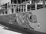 Click to see Y-P1011318.JPG