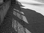 Click to see Y-P1011343-NoGrain.JPG
