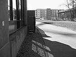 Click to see Y-P1011344-FilmGrain.JPG