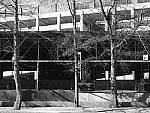 Click to see Y-P1011346-FilmGrain.JPG