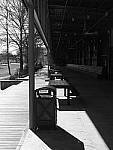 Click to see Y-P1011363.JPG