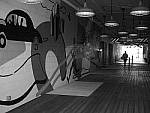 Click to see Y-P1011368.JPG