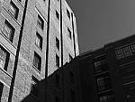 Click to see Y-P1011378.JPG