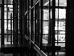 Click to see Y-P1011399.JPG
