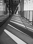 Click to see Y-P1011405.JPG
