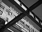 Click to see Y-P1011422-LMono.JPG