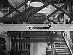 Click to see Y-P1011424.JPG