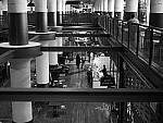Click to see Y-P1011437.JPG