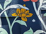 Click to see Y-P1011445.JPG