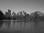 Click to see Y-P1011468.JPG