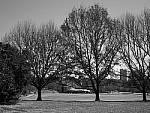 Click to see Y-P1011475.JPG