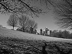 Click to see Y-P1011480.JPG
