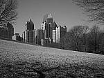 Click to see Y-P1011483.JPG