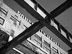 Click to see Y-P1011612-Mono.JPG
