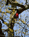Click to see YC-50-200-2310-EDT.JPG
