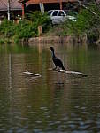 Click to see YD-50-200-2218.JPG
