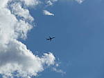Click to see YP1020471.JPG
