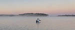 Click to see Y_1000272-MOD.JPG