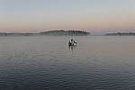 Click to see Y_1000272.JPG