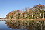 Click to see Y_1000285.JPG