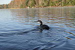 Click to see Y_1000294.JPG