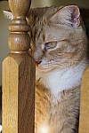 Click to see Y_1000329.JPG