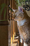 Click to see Y_1000333-MOD.JPG