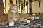 Click to see Y_1000348.JPG