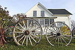 Click to see Y_1000401.JPG