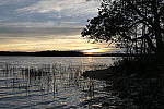 Click to see Y_1000431.JPG