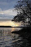 Click to see Y_1000432.JPG