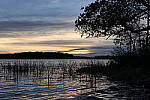 Click to see Y_1000440.JPG