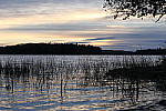 Click to see Y_1000445.JPG