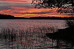 Click to see Y_1000453.JPG