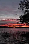 Click to see Y_1000456.JPG