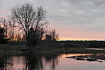 Click to see Y_1000467.JPG