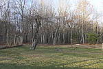 Click to see Y_1010012Focal-Length-35mm.JPG