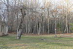 Click to see Y_1010013Focal-Length-50mm.JPG