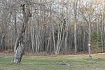 Click to see Y_1010014Focal-Length-70mm.JPG