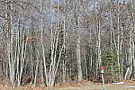 Click to see Y_1010056-diffraction-comp-ON.JPG