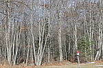 Click to see Y_1010057-diffraction-comp-OFF.JPG